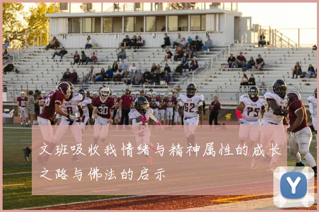 文班吸收我情绪与精神属性的成长之路与佛法的启示
